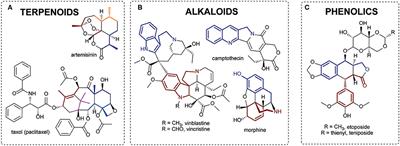 Nature's Chemists: The Discovery and Engineering of Phytochemical Biosynthesis